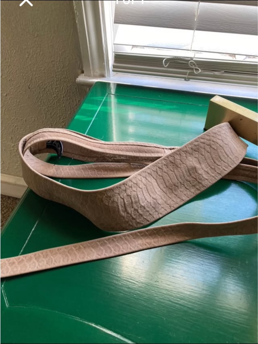Ada Beige Textured Reptile-Pattern Waist Belt